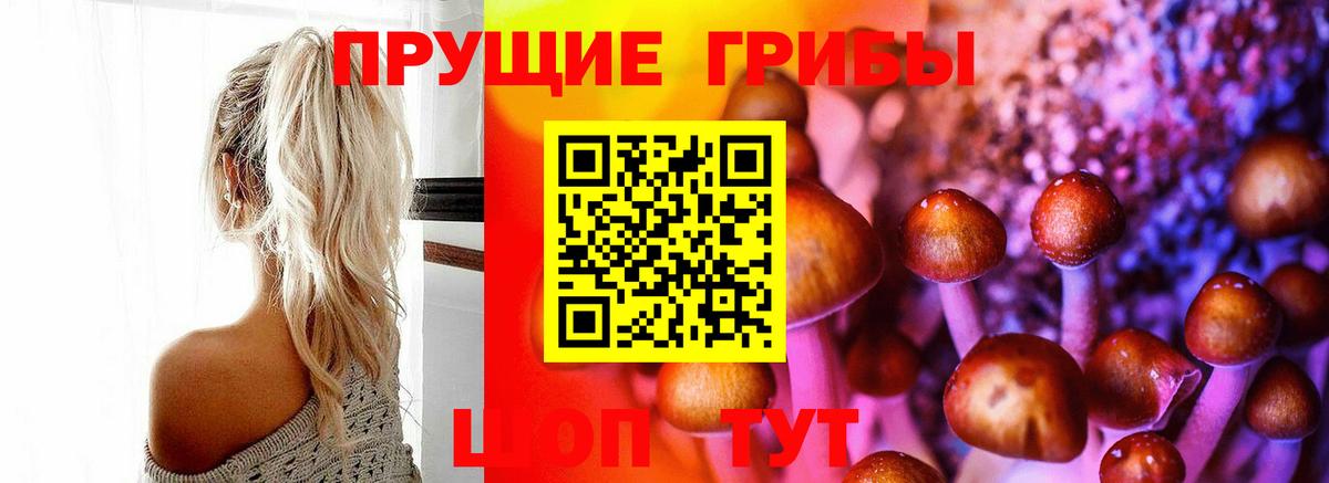 Галлюциногенные грибы Psilocybe  Вход с VPN  Калуга 
